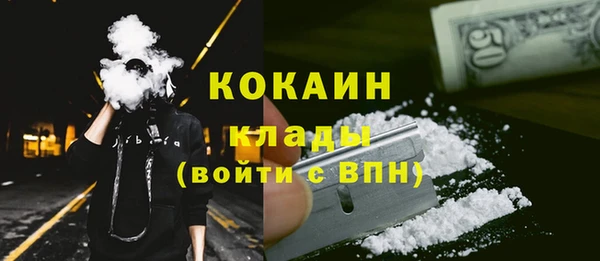 хмурый Арсеньев