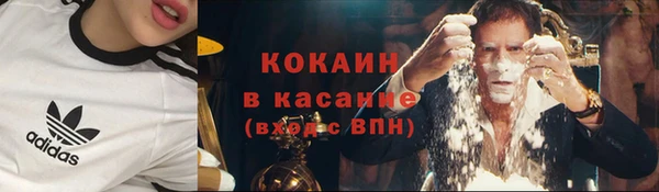 хмурый Арсеньев