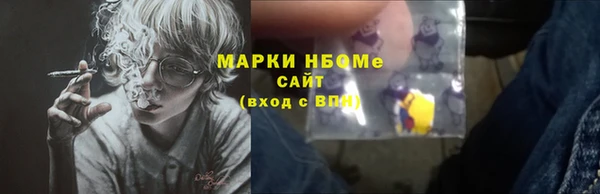 хмурый Арсеньев