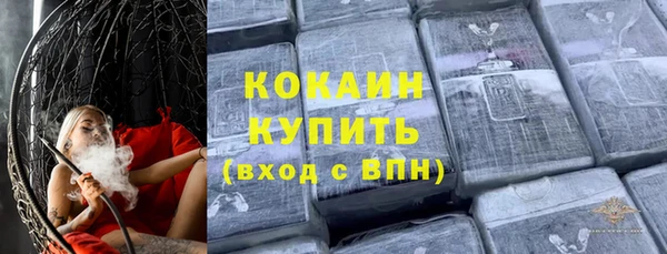 хмурый Арсеньев
